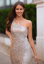 Glitzerndes Abendkleid in Ghost Grey